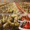 broiler equipment raising system