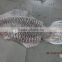 CUTTLE FISH WHOLE