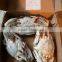 Whole frozen blue swimming crab