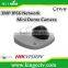 3MP IP66 Network Mini Dome Camera Full HD Hikvision Camera DS-2CD2532F-I