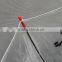 High Quality Straight Transparent Umbrella Kids Promational Umbrella