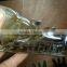 Nature smoky citrinelovely dragon skull head for sale