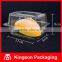 Clear Rectangular Plastic Hinged Container for Food