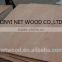 Best price okoume/Bintangor plywood for furniture
