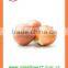 Export chinese new crop Fresh yellow onion