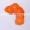 vegetable chips Dried Carrot Chips mixed vegetable chips with low price