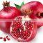 Pomegranate Molasses Concentrate Sour Sauce 650 gr Seafood Seasoning Sauce