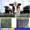 China professional factory,high quality,low price,galvanized guard field farm fence