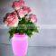 Silicone Flower Vase