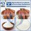 Low energy consumption Sweet potato starch production line