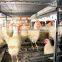 Chicken cage use and carbon steel wire material