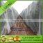 Quality PE Bee Net, Bird Net , anti hail net