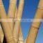 WY-135 2016 Hot sale natural dry strong bamboo poles for supporting