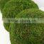 Handicraft Moss Ball