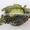 Home decor /Leaf shaped glass candle holder