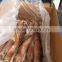 Frozen China origin Todarodes Pacificus squid Japanese flying W/R