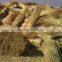 thatched reed