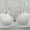 New Design Sexy Ladies Transparent White Embroidered Bra and Panty Set