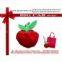 2012 Top Selling Printed Shopping Bags