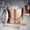Copper Stainless Steel Ice Bucket Barware Kit - Double Walled Insulated with Lid, Carry Handle and Tongs Set
