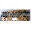 excavator engine parts for 3406 Crankshaft 6I1453 117-045 7C4859