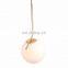 Nordic Modern Pink and Gold Artistic Feeling LED Pendant Lights Lamp Hanging Light