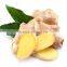 Food additive ginger oil/Refined ginger oil