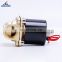 DC12/24V Normally Closed Type Direct Acting AC36/110/220/380V Electric Brass Solenoid Valve Price For Water