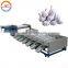 Automatic garlic size grading sorting machine auto industrial garlics sizing sorter and grader equipment cheap price for sale