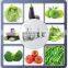Multifunctional Bubble Cleaning Apple Avocado Mango Banana Fruit And Vegetable Washing Machine