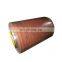 Factory Direct Ral Color Coated PPGI Galvanized Steel PPGI Steel Coil