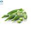 Fresh and good-taste  top quality IQF Frozen  Okra Whole
