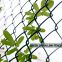 Chain link Fence chainlink fence chain-link chainlinkfencing security fence green vinyl PVC coated  commercial fecne industrial fence residential fence