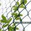 Chain link Fence chainlink fence chain-link chainlinkfencing security fence green vinyl PVC coated  commercial fecne industrial fence residential fence