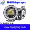 Direct Factory offer 2.5" 3" 3.5" 30W Projector Lens Halo Ring COB Angel Eyes Led Fog Light