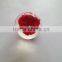 New design clear plastic sphere ball with real ember embedded for promotional gift