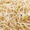New Crop Shelled Green Mung Beans