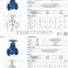 OEM manufacturers high quality NPS JIS DIN EN Globe Valve