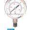 Stainless Steel Pressure Gauge