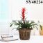 Flower pots for livingroom small cheap plastic pot plants