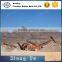 Top 10 Abrasion Resistant St1000 Steel Cord Conveyor Belt Manufacturer from chinamainland