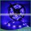 12V 5M SMD3528 300-LED RGB-IR44 Epoxy Waterproof LED Light Strip Set 24W