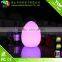LED Egg