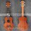 Ukulele in different colour