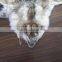 High Quality Natural And Dyed Genuine Coytoe Fur Skin