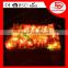 CE&ROHS hollween holiday battery decoration new style led christmas light