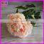 Low price high quality export factory artificial Peony