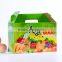 fresh apple fruit corrugated box export packaging