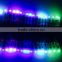 China supply top quality 0.3w programmable ip68 cri 85 rgb led pixel light with ic