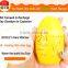 Daylily Egg hand warmer - New fashion cute portable hand warmers